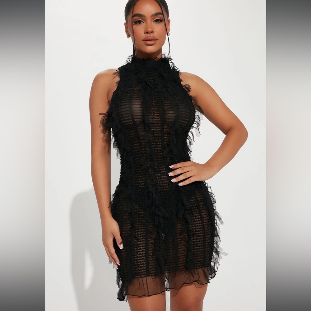 NWOT FASHION NOVA Petite So Dramatic Mesh Mini Dress - Petite Large